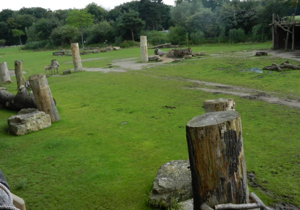 55 - Die Savanne erstreckt sich entlang der Kiwara-Lodge.jpg